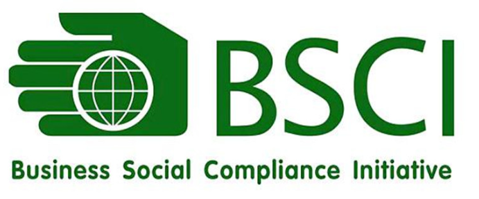 Key points of BSCI audit